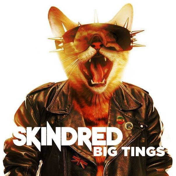 Watch Skindred’s “That’s My Jam” music video with your cat