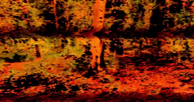 Igor Cavalera’s Petbrick gets a “Radiation Facial” in new video featuring Full of Hell’s Dylan Walker