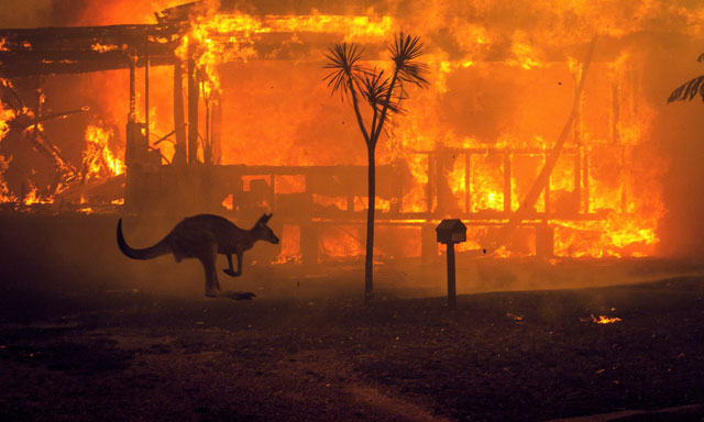 Ne Obliviscaris respond to Australia’s Wildfires